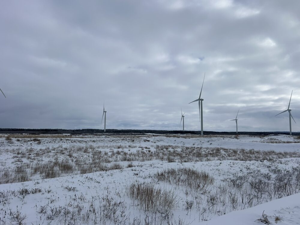 風車がたくさん見える冬のオロロンライン