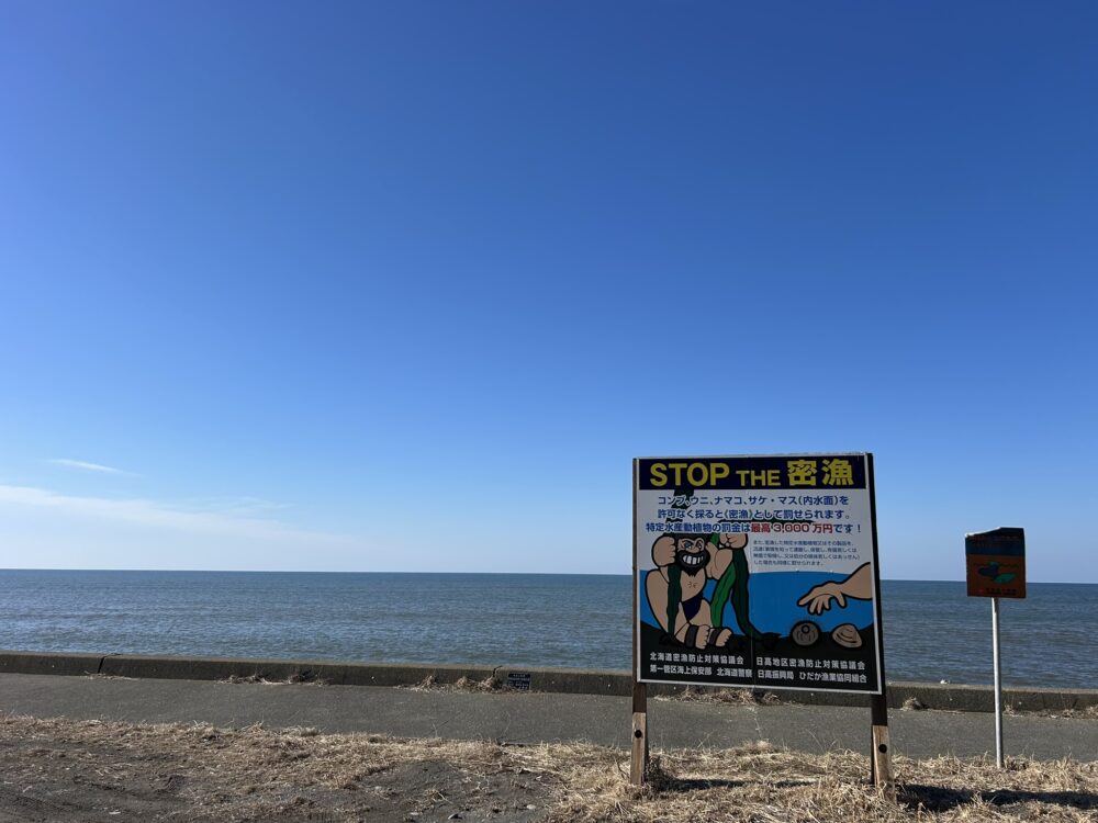 節婦の海岸から見た太平洋の風景