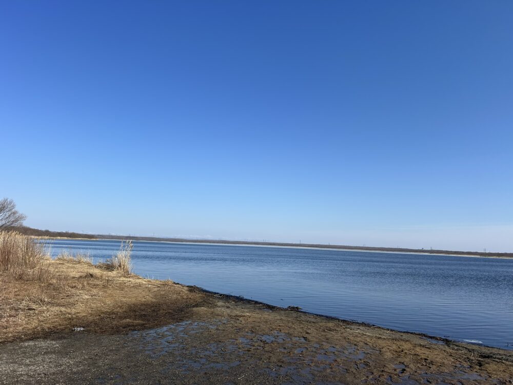 ウトナイ湖の風景