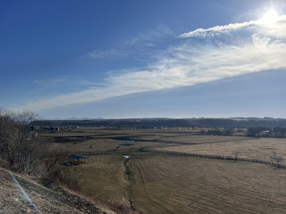 サラブレット銀座駐車公園の全景