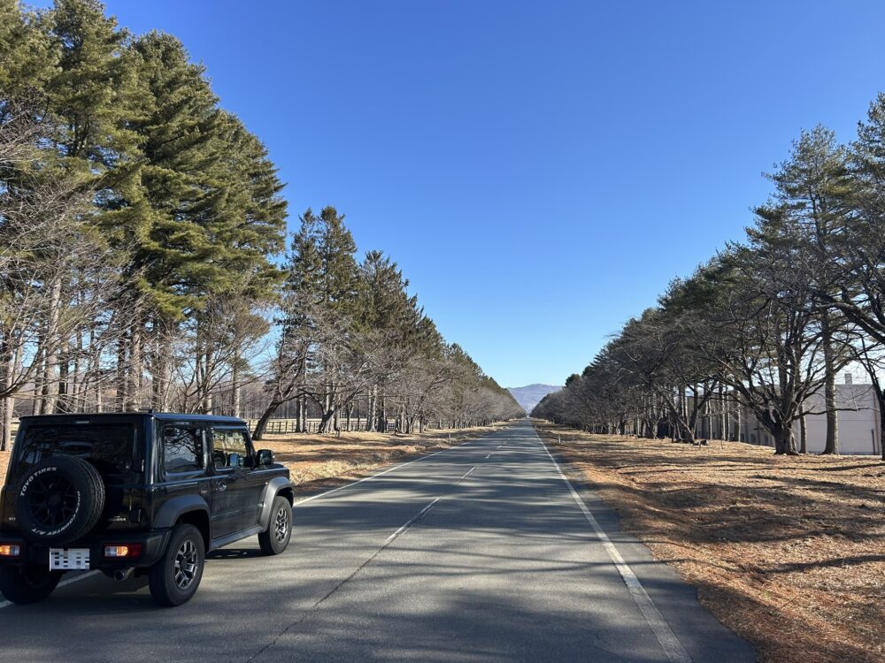 二十間道路の風景