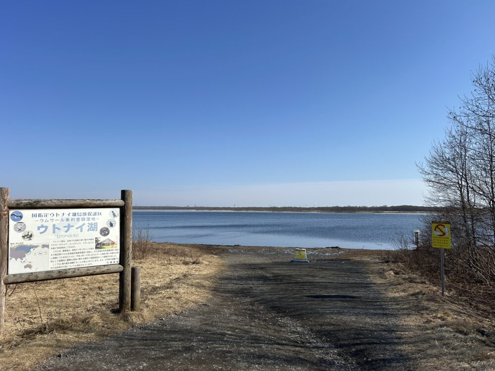 ウトナイ湖の風景
