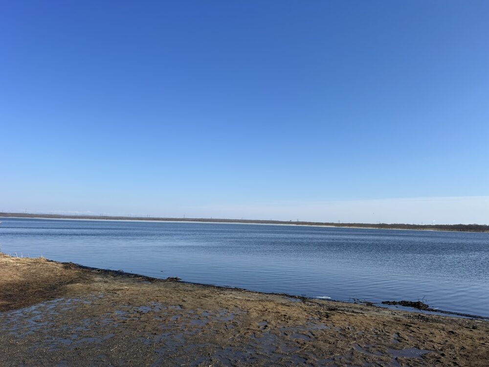 ウトナイ湖の風景