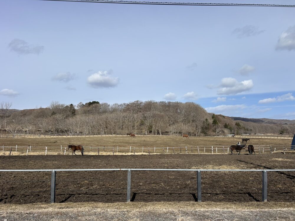 新冠から向かう途中の牧場