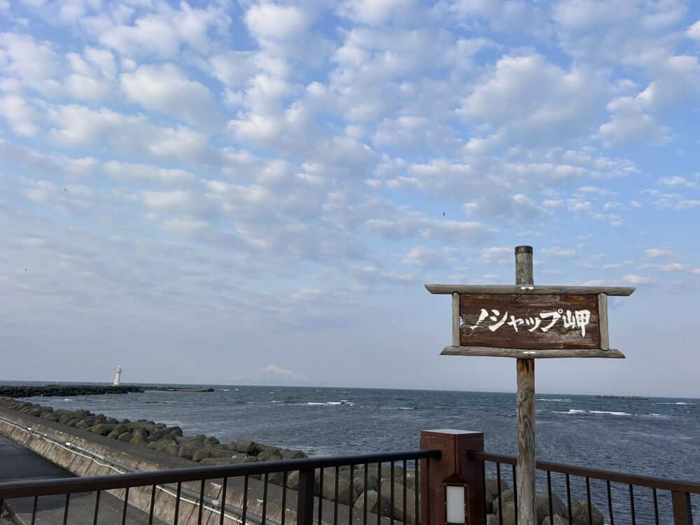 ノシャップ岬の全景