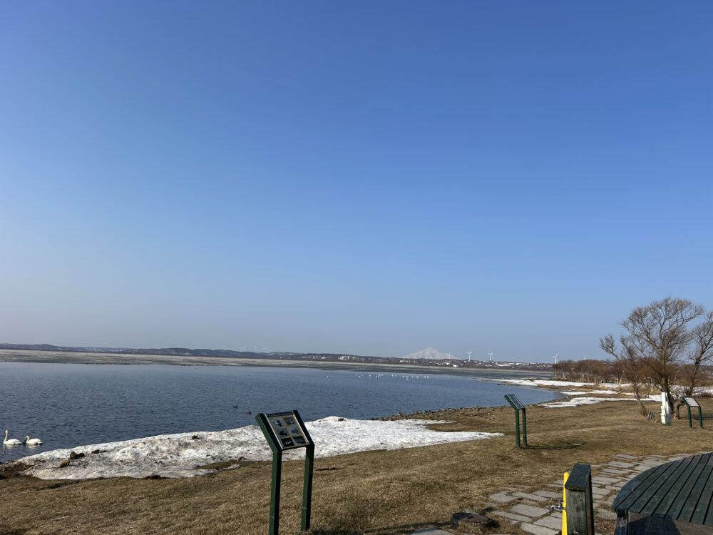 大夢魔から見える利尻岳の画像