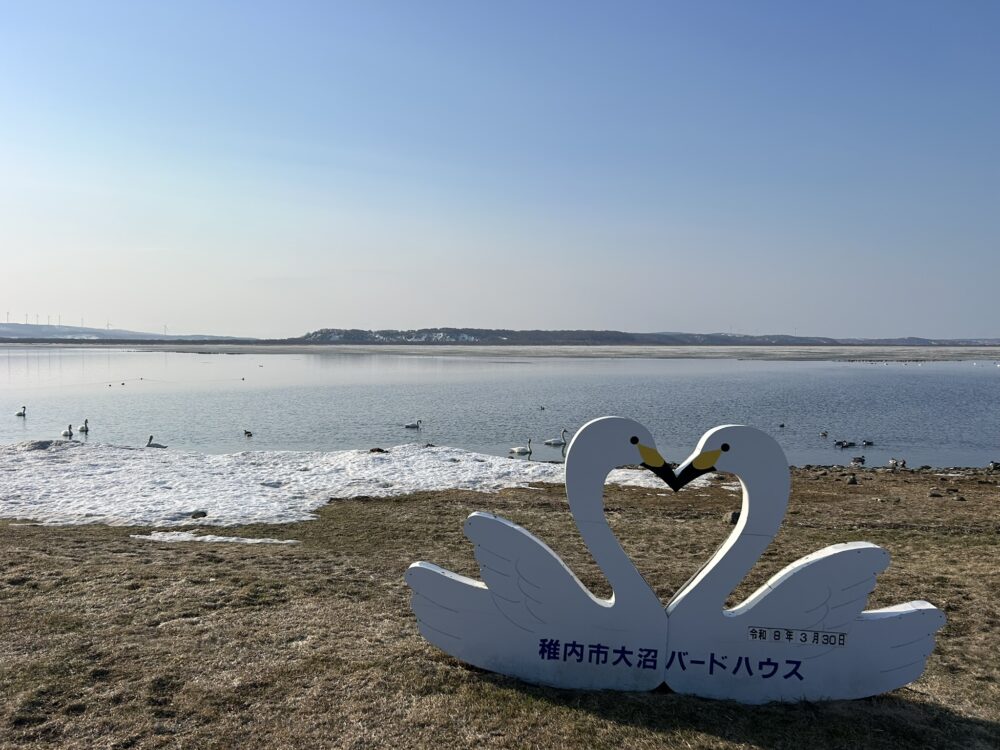 大沼バードハウスの風景画像