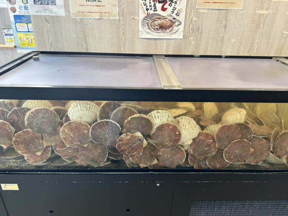 いけすの中にたくさんホタテが入っている様子