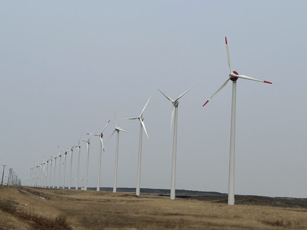 オトンルイ風力発電所の全景画像
