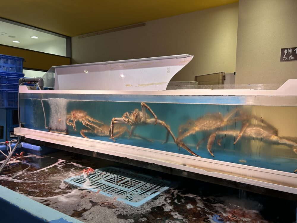 いけすに入ったタラバガニの画像