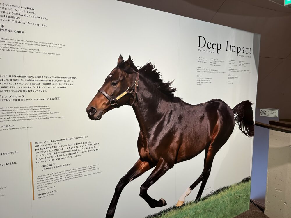 ノーザンホースパークの馬の画像