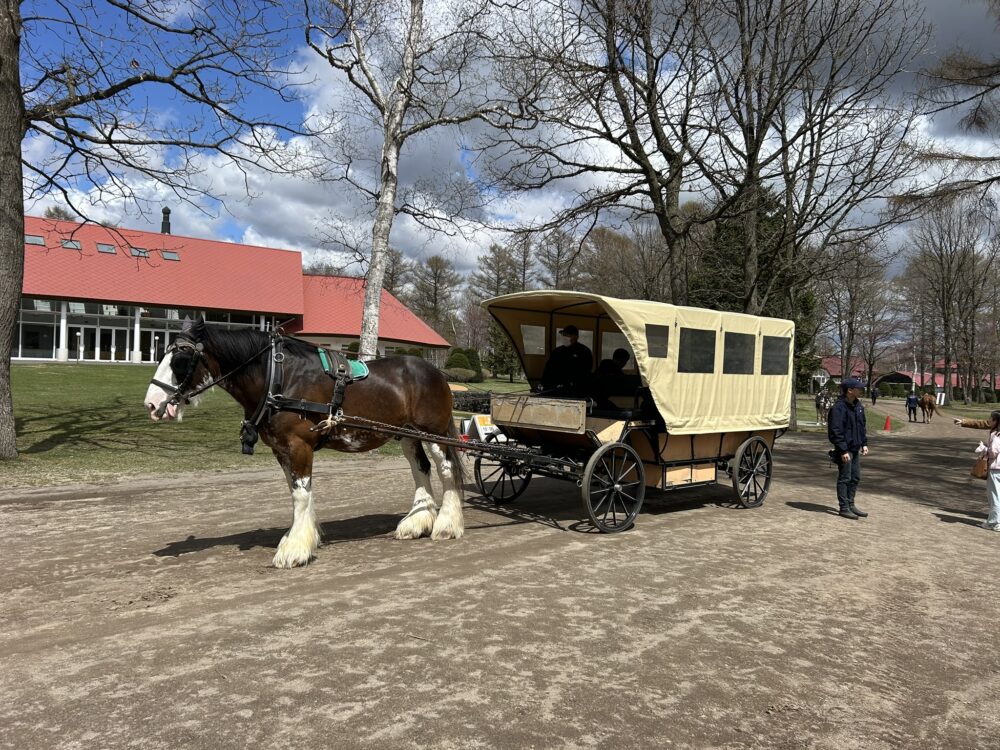 ノーザンホースパークの馬車の画像