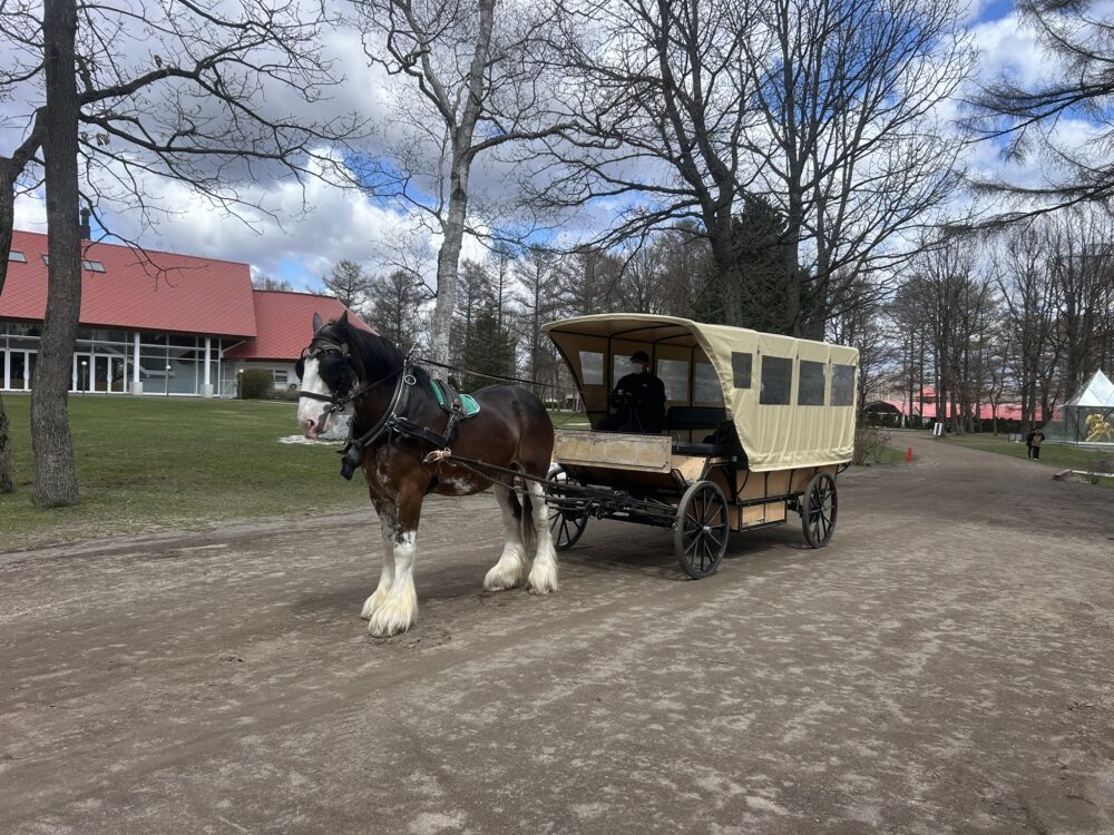 馬車の画像