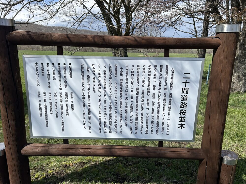 二十間道路桜並木の歴史が書いてある看板